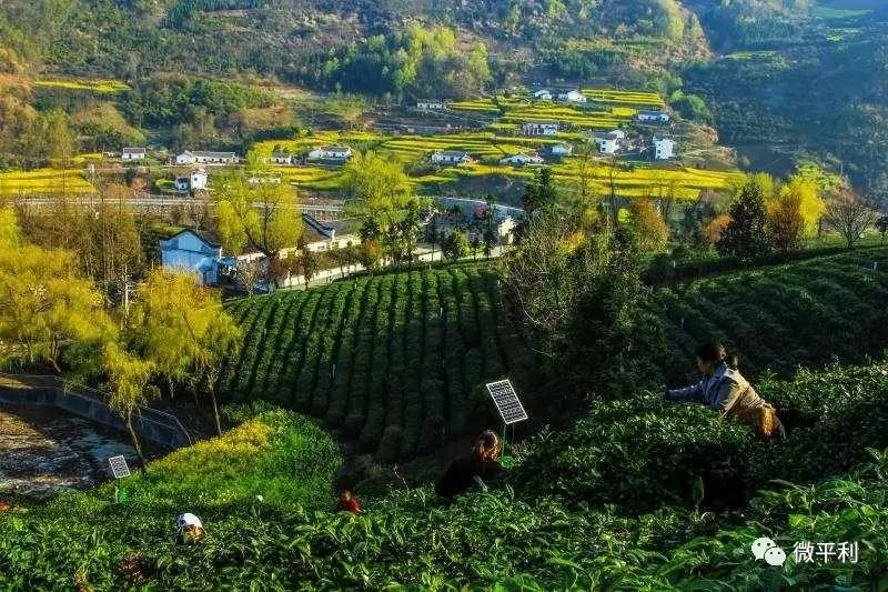 建材行业新趋势：安康建材业的绿色崛起